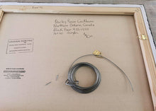 Load image into Gallery viewer, 1448, Canadian Art, Original Painting, Landscape Art, Landscape Painting, Canadian Landscape, Canadian Artist, Trees, Windswept Pines