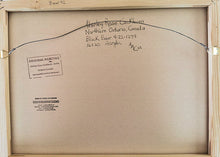 Load image into Gallery viewer, 1236 Northern Path 1-21  Landscape Painting